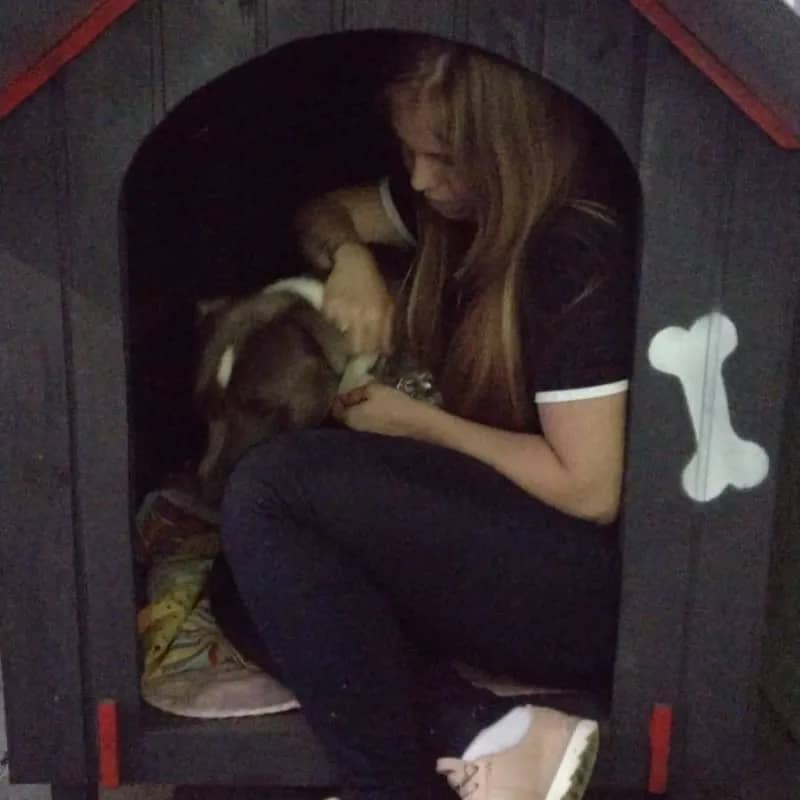 Imagem da campanha Rifa solidária para custear as despesas do nosso amigo Jack que se foi.😢