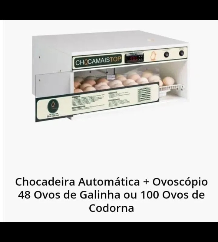 Imagem da campanha Chocadeira e 100 ovos de codorna pra vc começar sua criação de codorna
