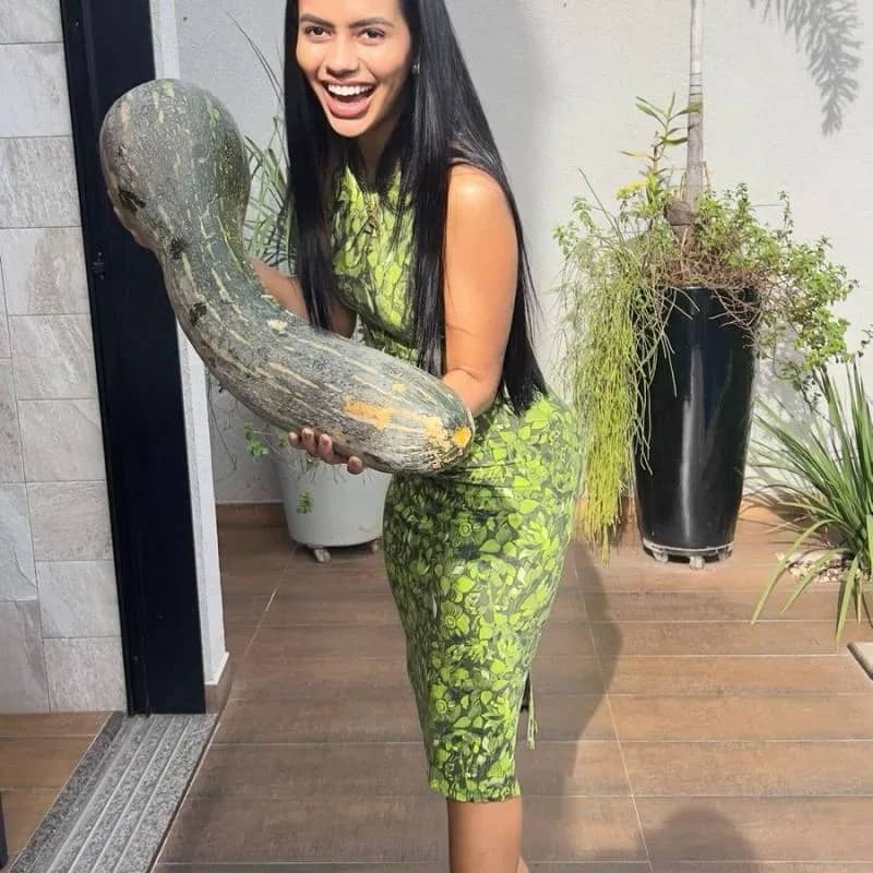 Imagem da campanha SORTEIO VEGANO *** abóbora de milhões ***