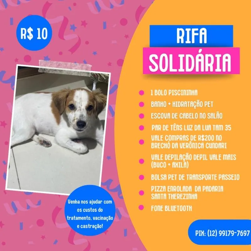 Imagem da campanha Juntos pela Cloe