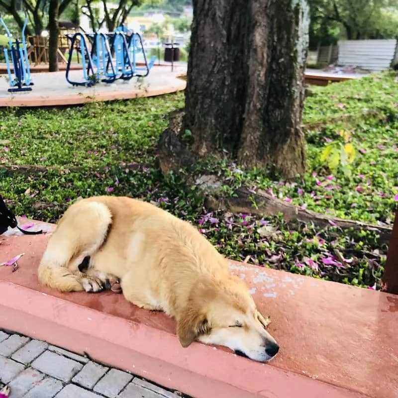 Imagem da campanha Páscoa