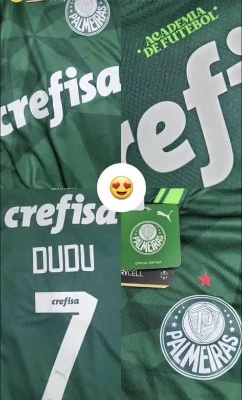 Imagem da campanha Camisa palmeiras