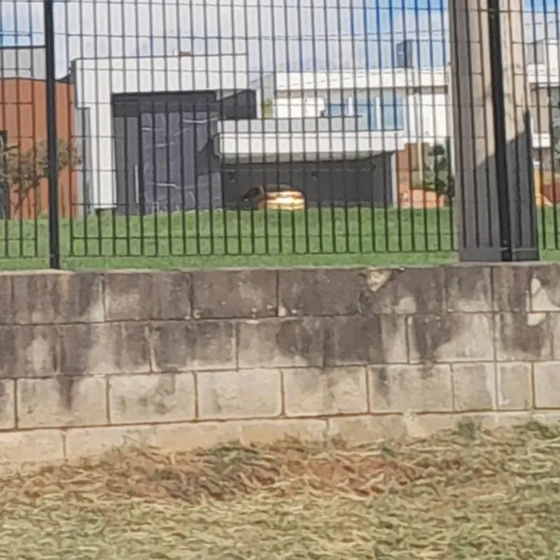 Imagem da campanha Casa do vsmeme