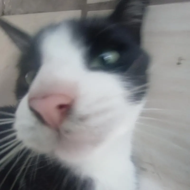 Imagem da campanha eeeeeeee