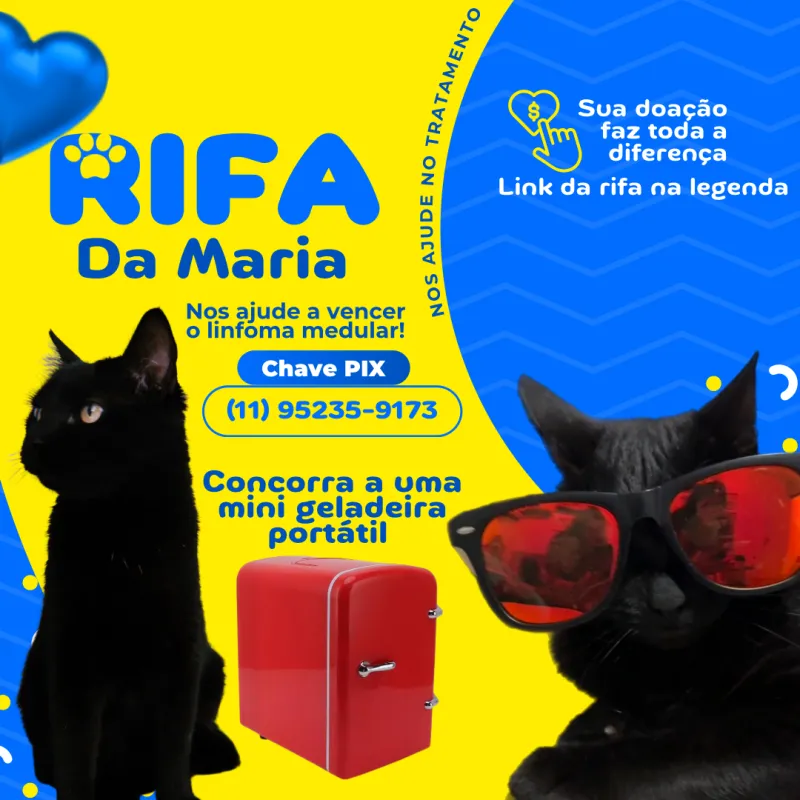Imagem da campanha Nos ajude a continuar o tratamento da Maria 😻