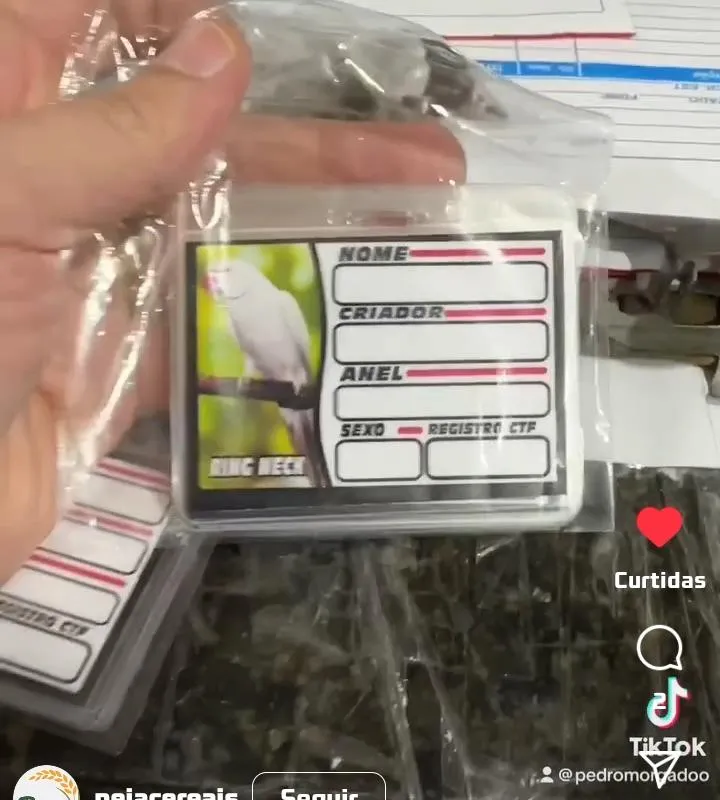 Imagem da campanha Placa