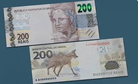 Imagem da campanha Ajudem