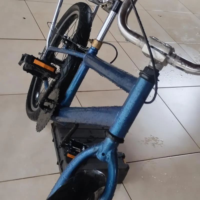 Imagem da campanha Rifa a montadinha