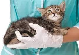 Imagem da campanha Custas do tratamento