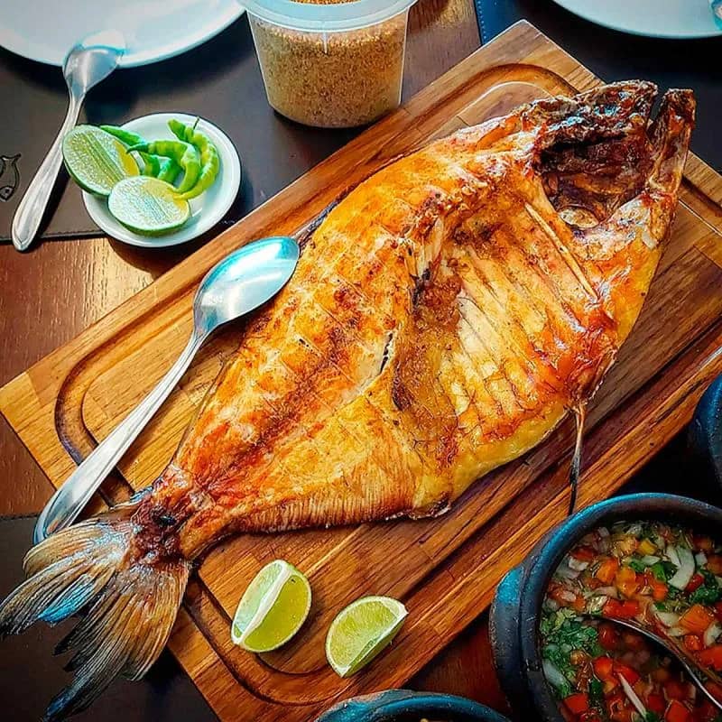 Imagem da campanha Arrecadação de fundos para o coral das mulheres