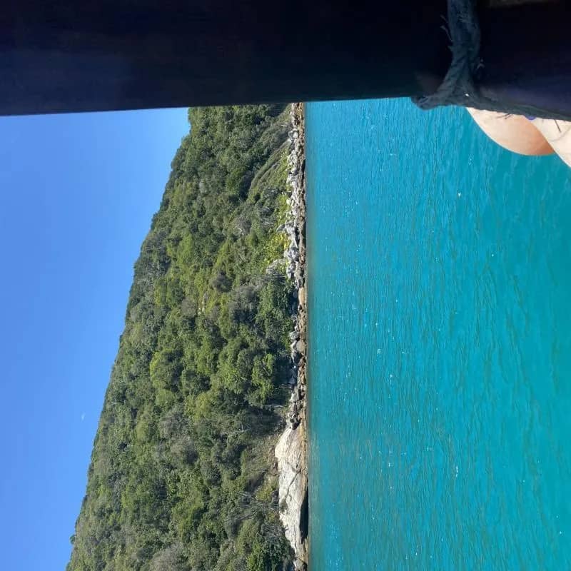 Imagem da campanha Jdosd