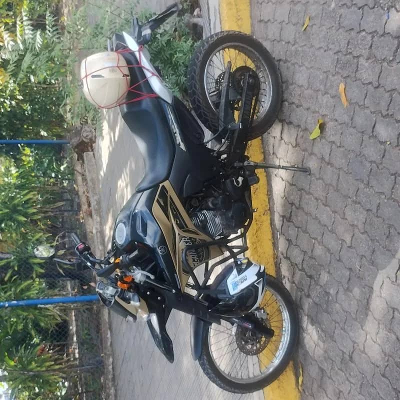 Imagem da campanha Lander 2021