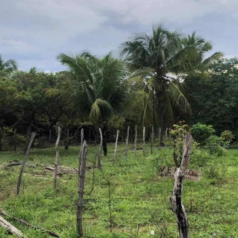 Imagem da campanha Terreno 5x40