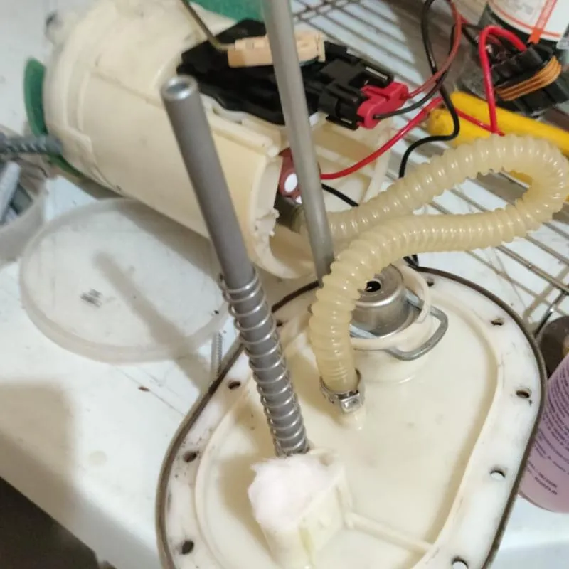 Imagem da campanha Pixfeito