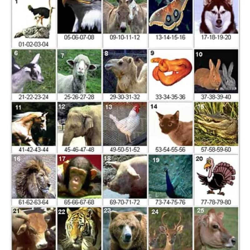 Imagem da campanha DEZENAS DA SORTE