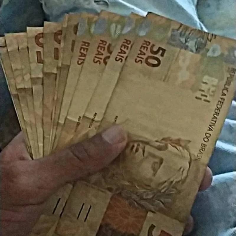 Imagem da campanha VAMOS CRESCER JUNTOS