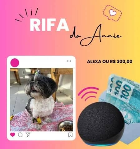 Imagem da campanha RIFA DA ANNIE