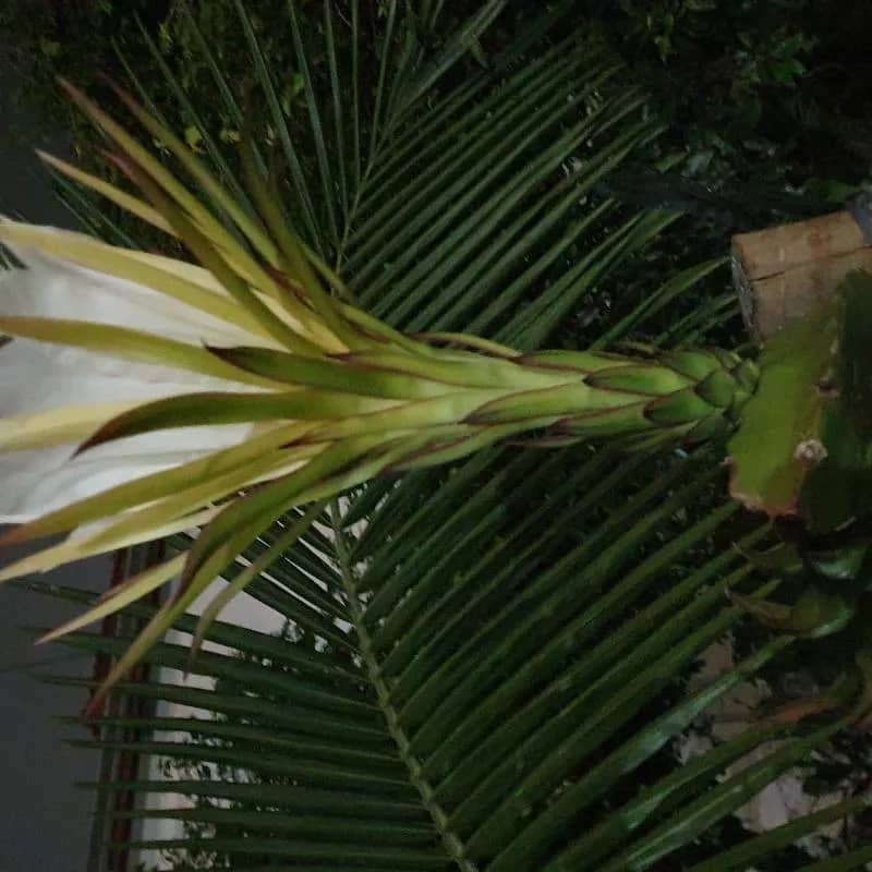 Imagem da campanha Teste