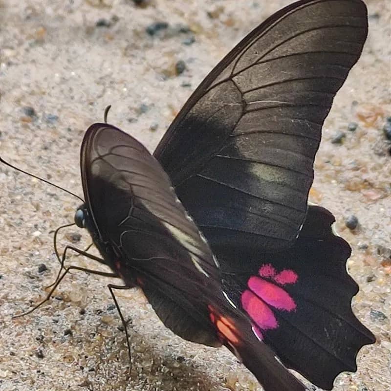 Imagem da campanha Teste