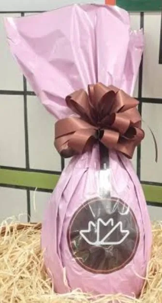 Imagem da campanha Páscoa Solidária, crianças carentes de Santos