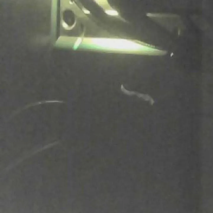 Imagem da campanha Teste pelo APK