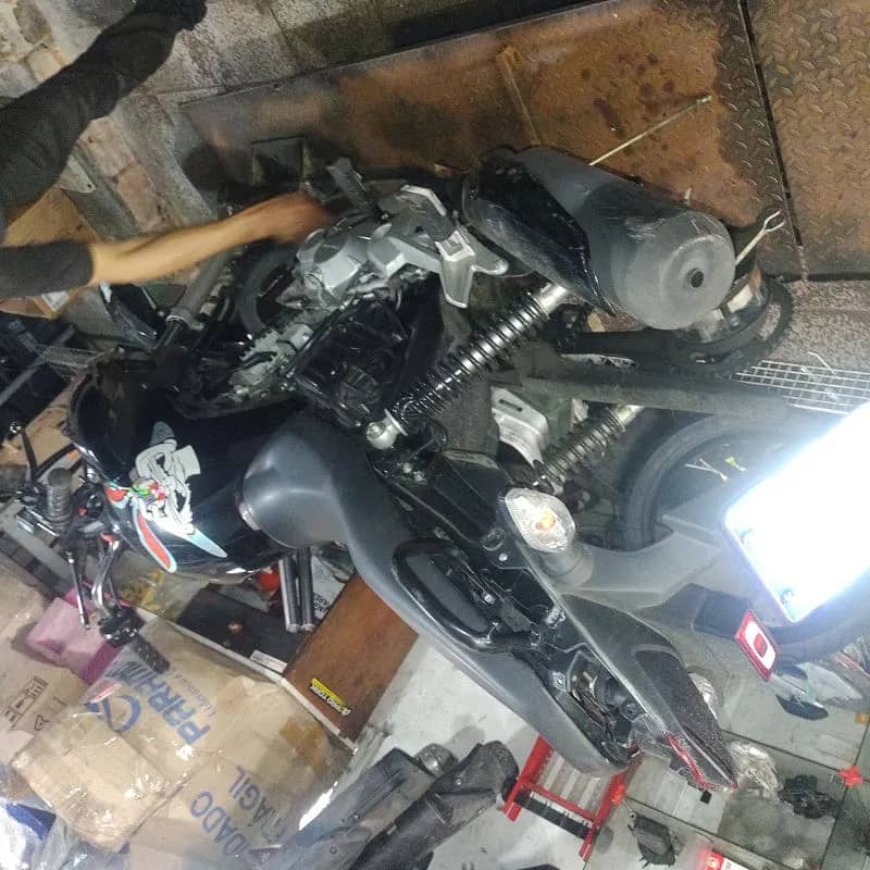 Imagem da campanha CONCERTO DA IMPUNIDADE