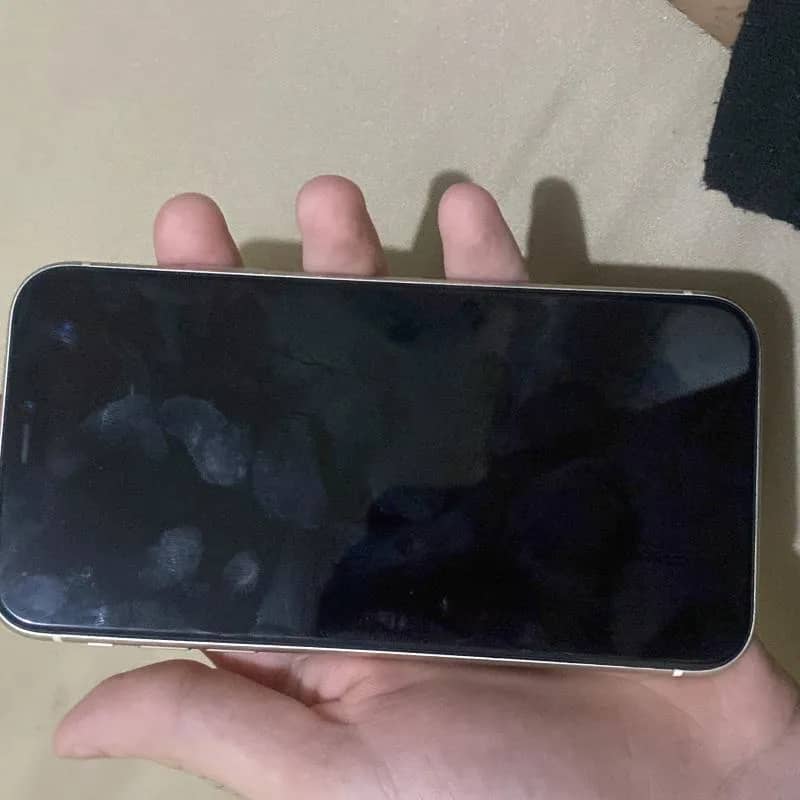 Imagem da campanha iPhone 11