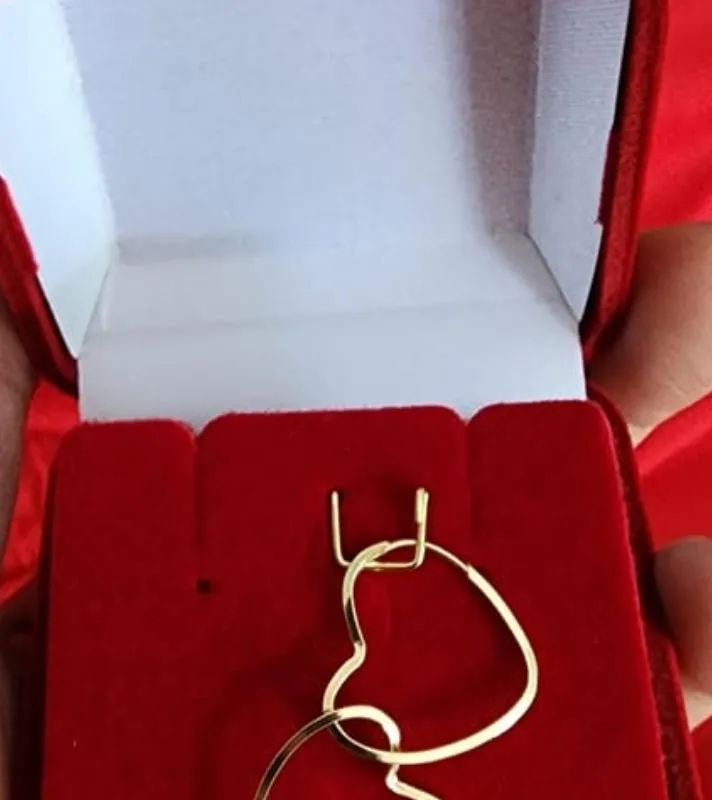 Imagem da campanha Brinco em ouro 18k ou um pix no valor de 200,00