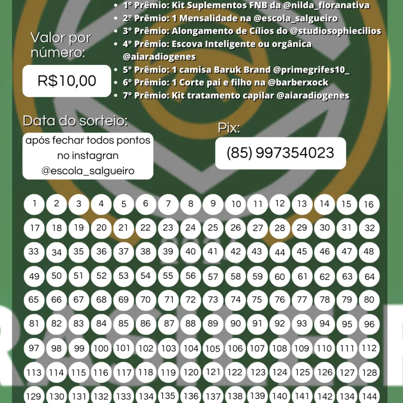 Imagem da campanha Brasileiro de Jiu Jitsu 2024