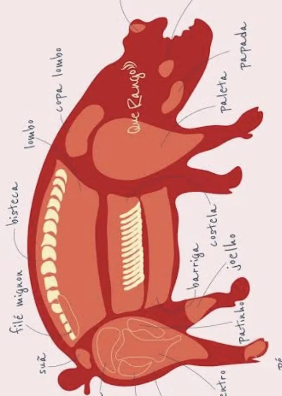 Imagem da campanha AÇÃO BENEFICENTE