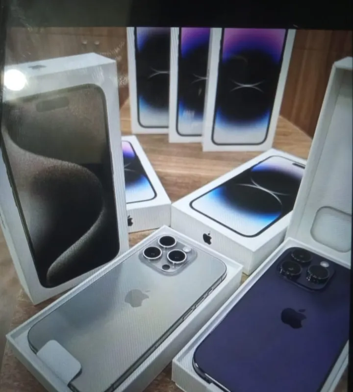 Imagem da campanha Reforma do canil dona lu