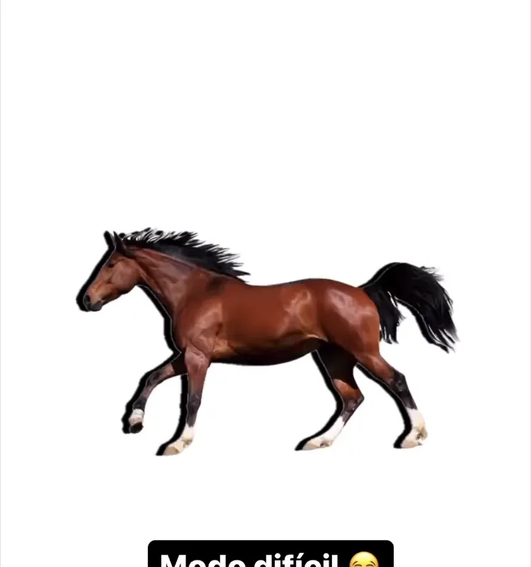 Imagem da campanha 1000