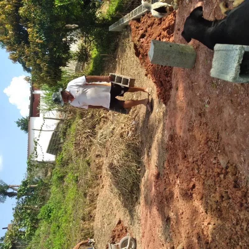 Imagem da campanha Construção da casa