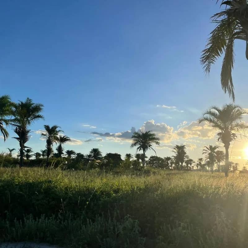 Imagem da campanha Terreno em Paraíso 10x25m + R$1.000 no PIX.