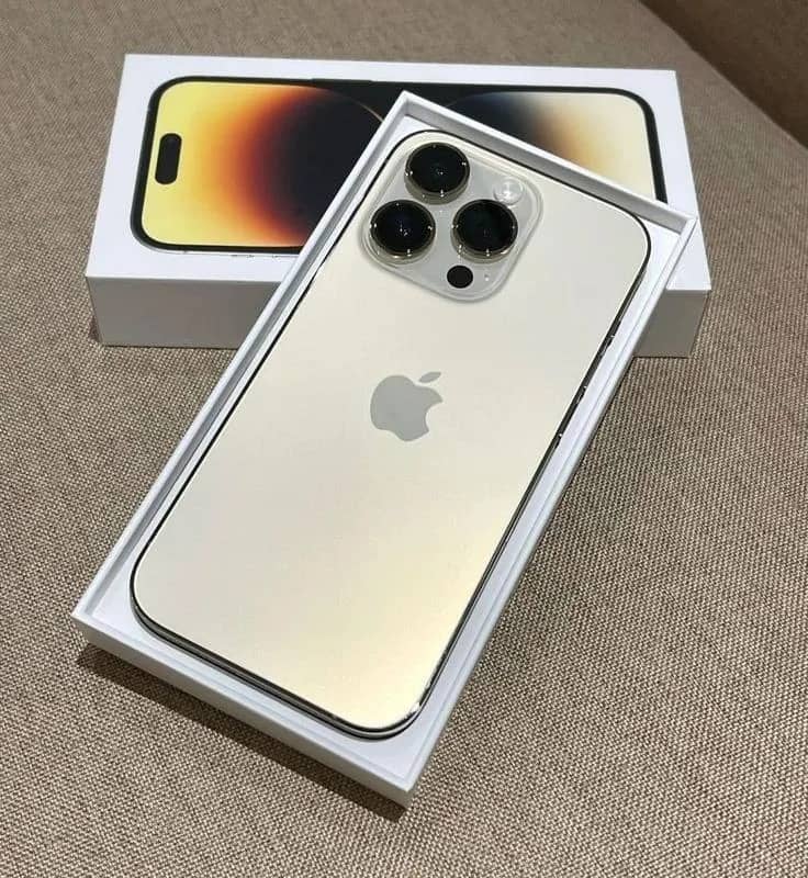 Imagem da campanha Nunes D'Sorte🍀