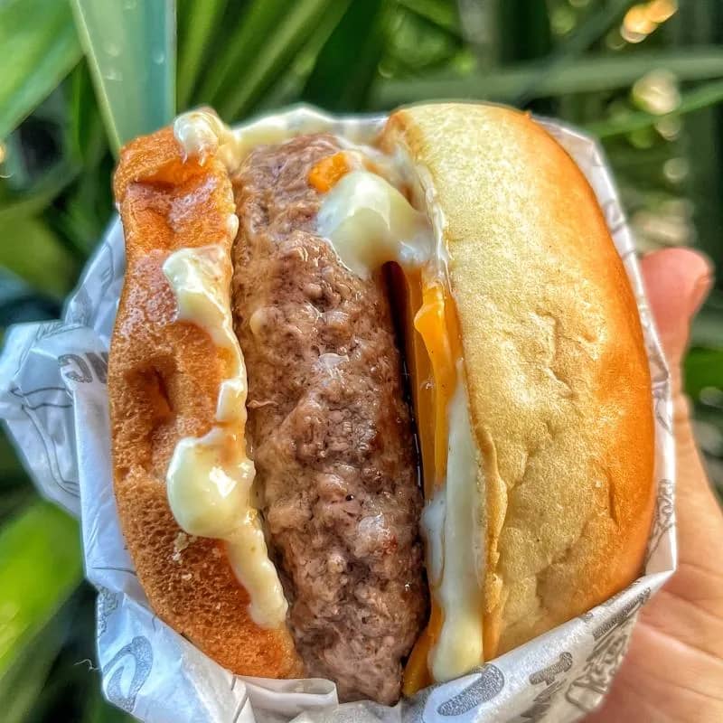 Imagem da campanha Live numero 1