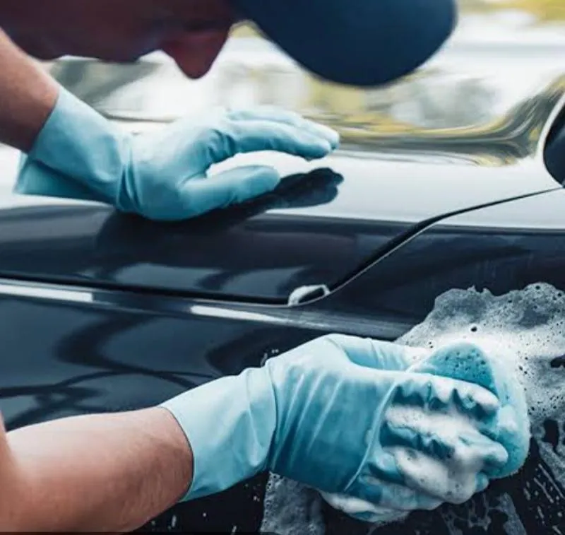 Imagem da campanha LAVAGEM TÉCNICA DETALHADA