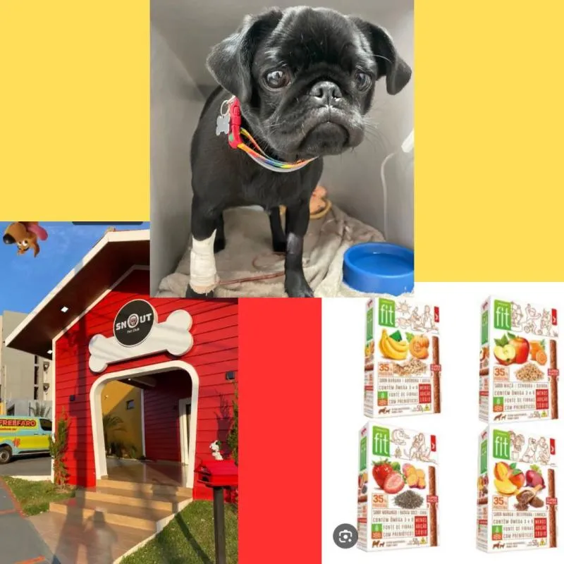 Imagem da campanha AJUDE NO TRATAMENTO DA AURORA