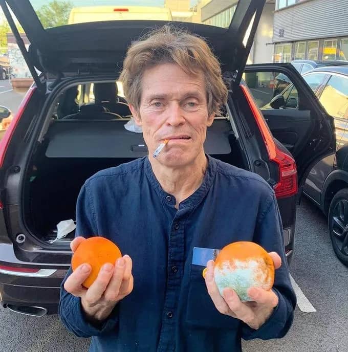 Imagem da campanha laraja do willem dafoe