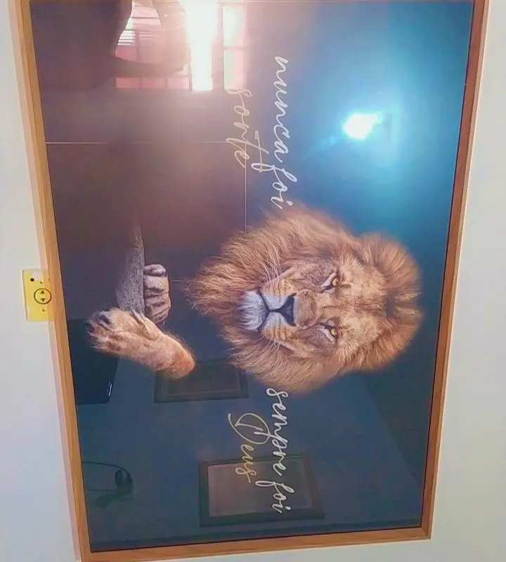 Imagem da campanha Rifa-se esse lindo quadro