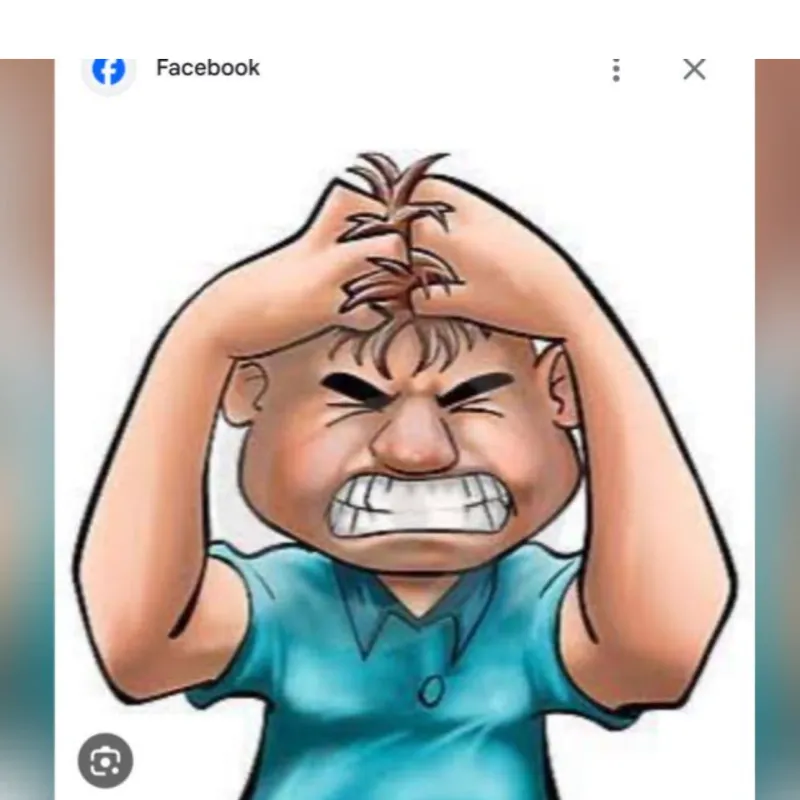 Imagem da campanha Rifa entre amigos  para o forró nervoso