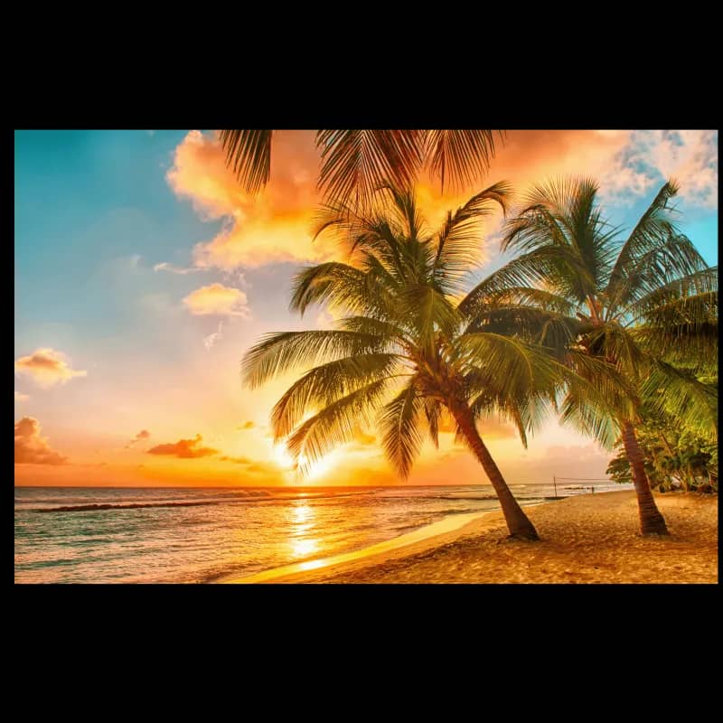 Imagem da campanha RIFA DE VIAGEM