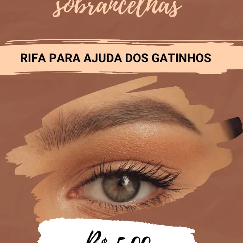 Imagem da campanha GATINHOS SÃO JUDAS