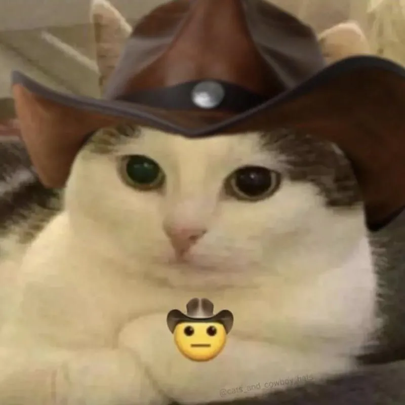 Imagem da campanha Teste