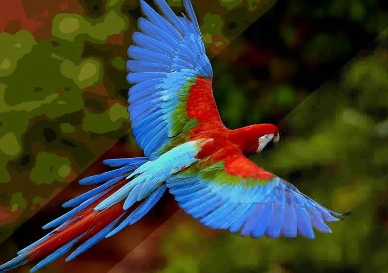 Imagem da campanha 100k