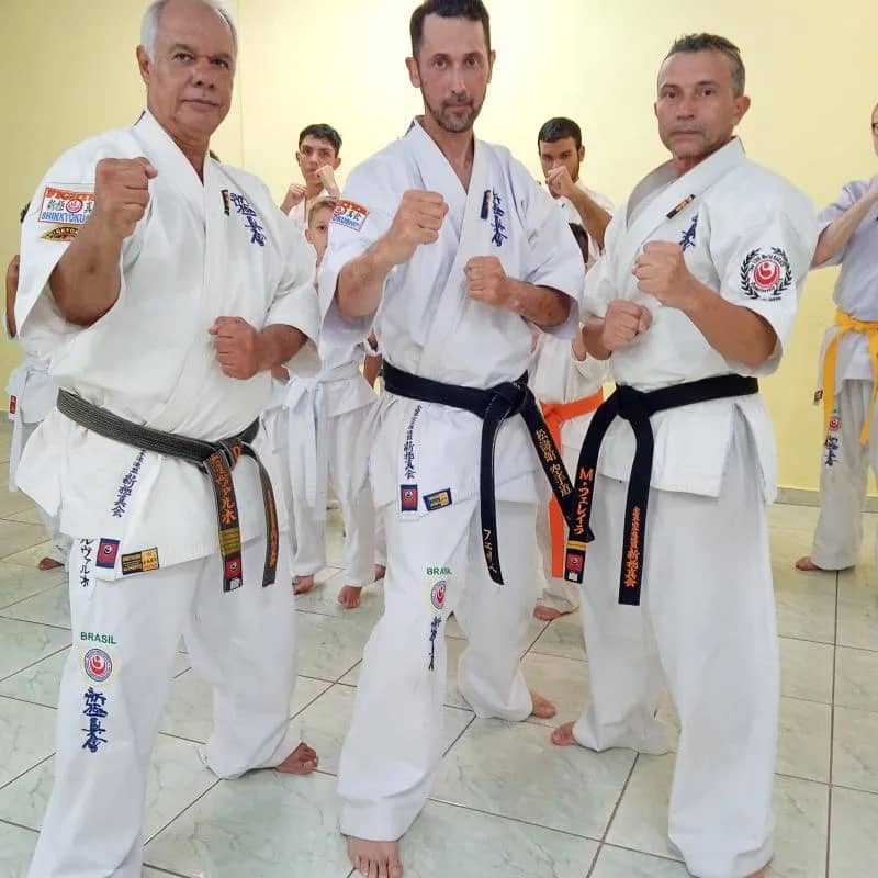 Imagem da campanha Kimono shinkyokushin