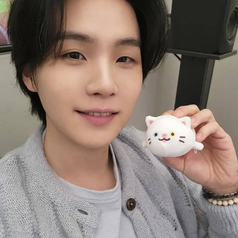 Imagem da campanha Armyzinhas