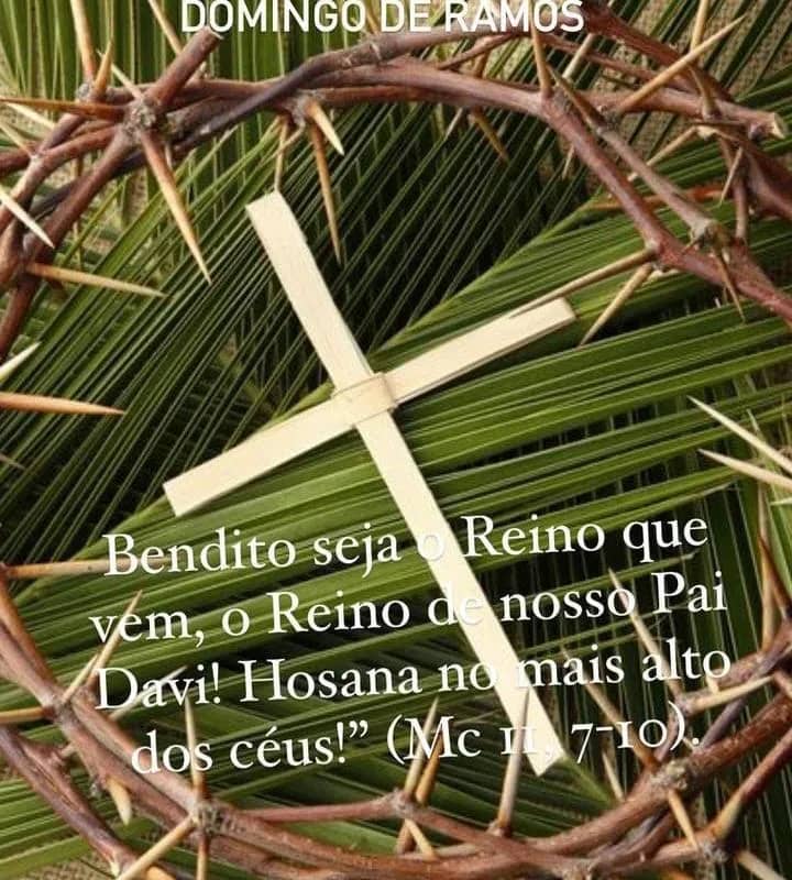 Imagem da campanha Aparecida