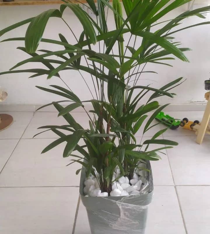 Imagem da campanha Um dia inteiro com sua família pra relaxar