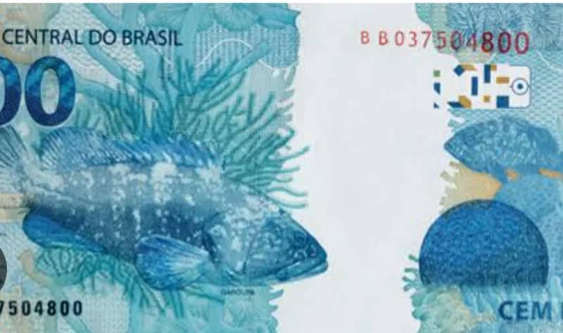 Imagem da campanha Premiação:   R$ 100,00